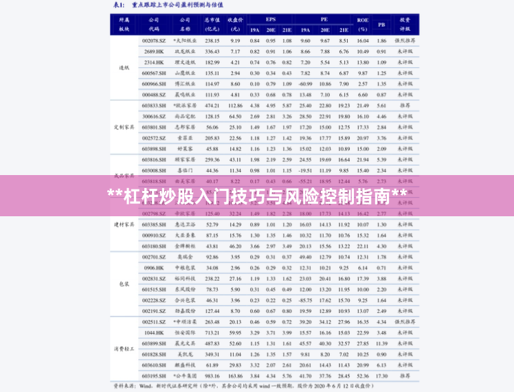 **杠杆炒股入门技巧与风险控制指南**