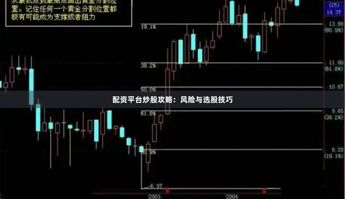 配资平台炒股攻略：风险与选股技巧